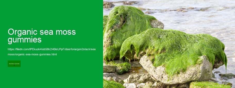 sea moss gummies benefits